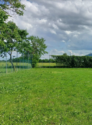 immagine annuncio 5 di 13