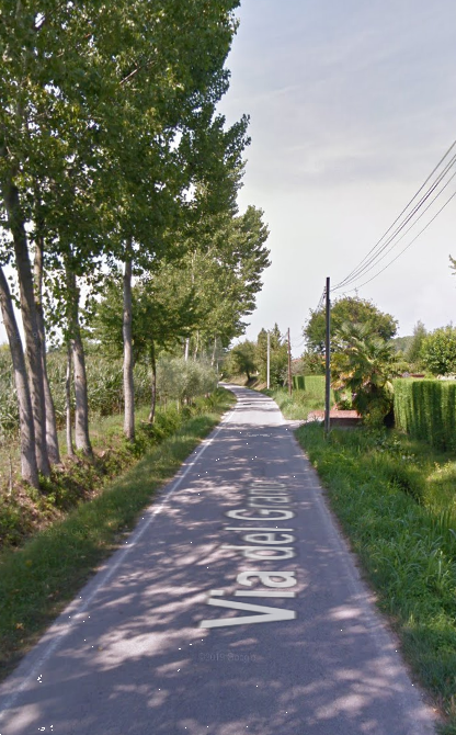 immagine annuncio 9 di 13