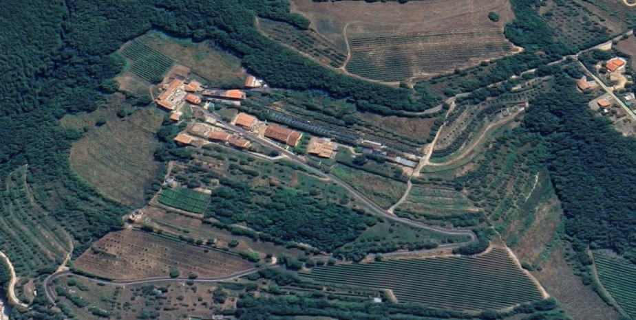 immagine annuncio 11 di 13