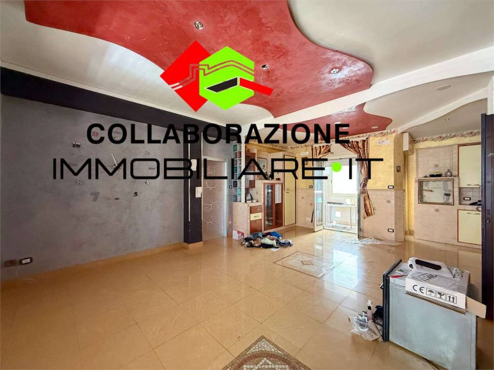immagine annuncio 12 di 13