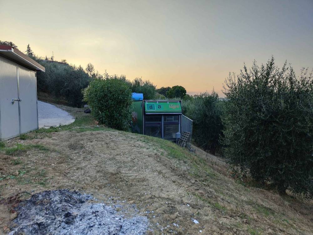 immagine annuncio 10 di 13