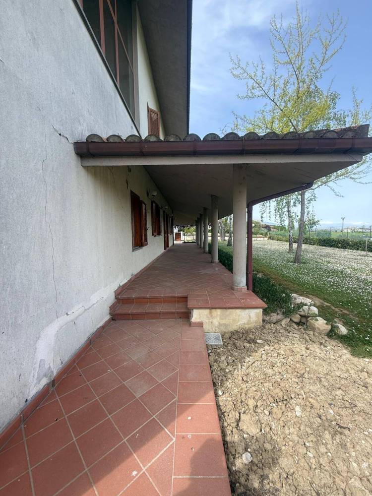 immagine annuncio 6 di 13