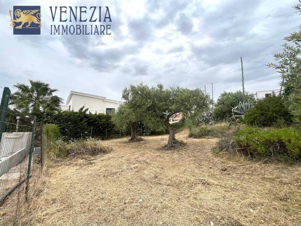 immagine annuncio 11 di 13