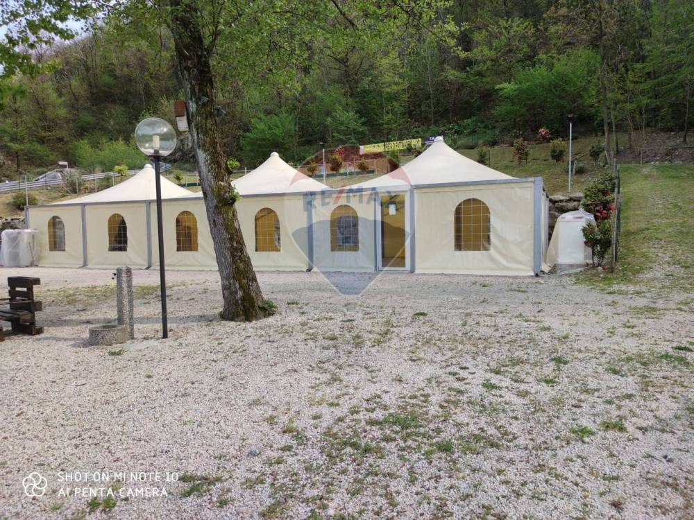 immagine annuncio 11 di 13