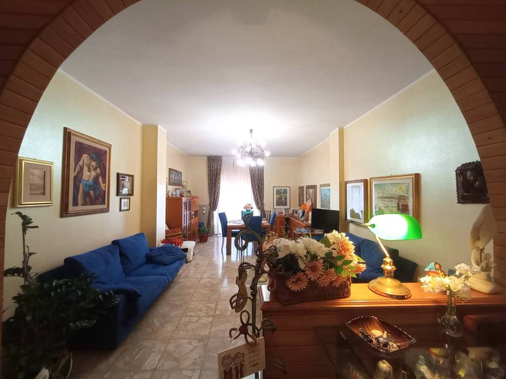 immagine annuncio 3 di 13