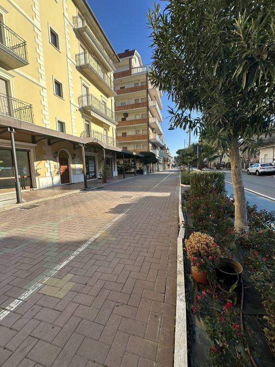 immagine annuncio 7 di 9