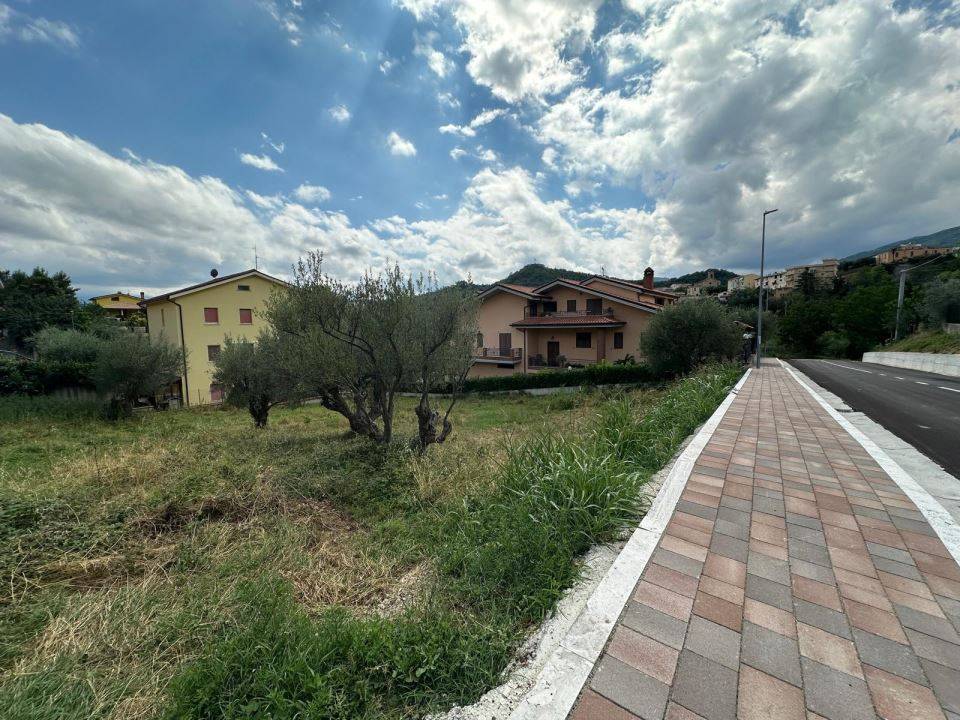 immagine annuncio 5 di 9