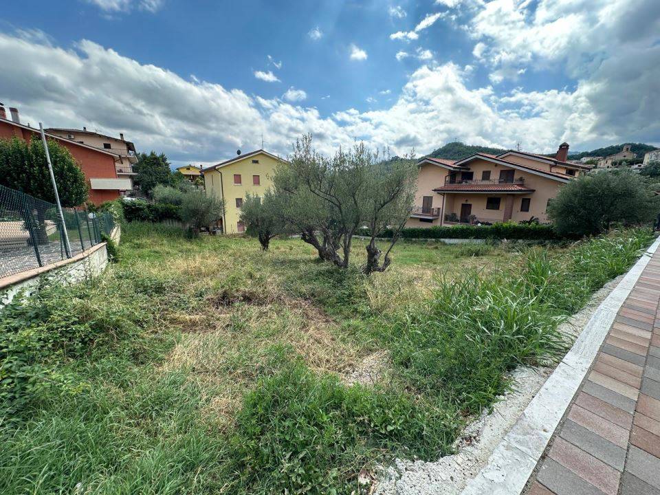 immagine annuncio 4 di 9
