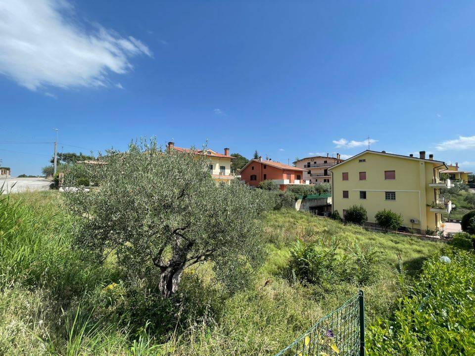 immagine annuncio 8 di 9