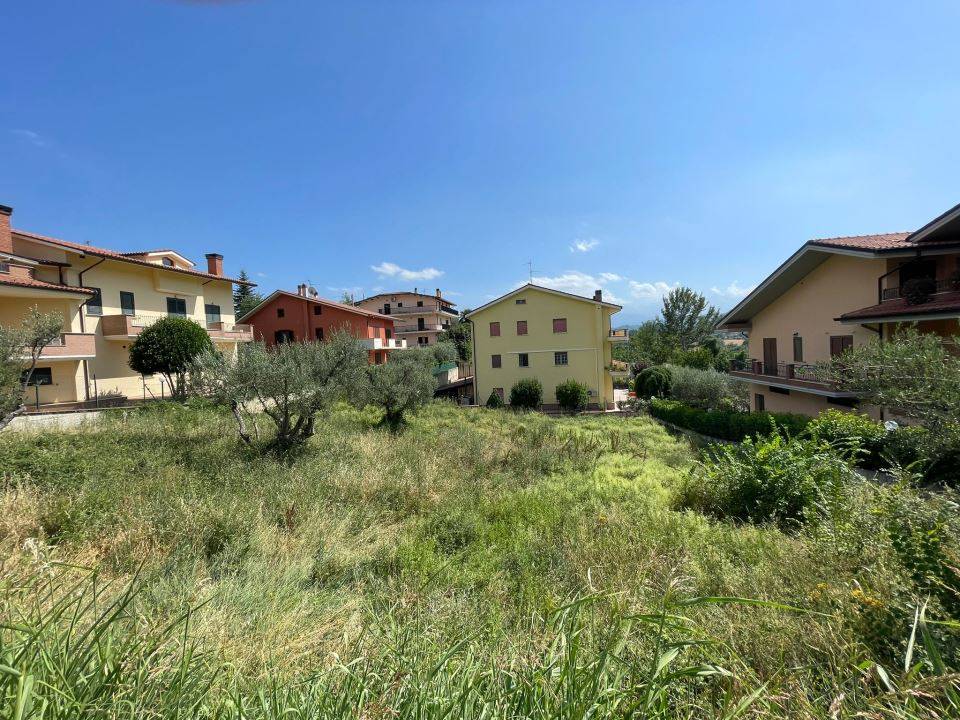 immagine annuncio 7 di 9