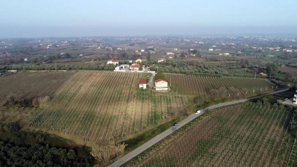 immagine annuncio 6 di 9