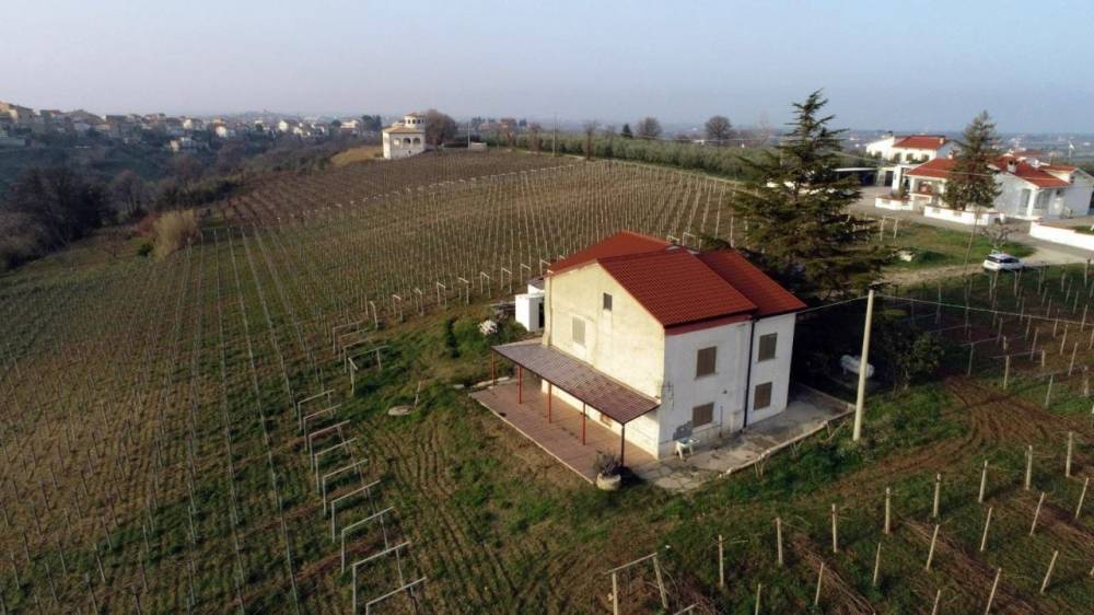 immagine annuncio 1 di 9