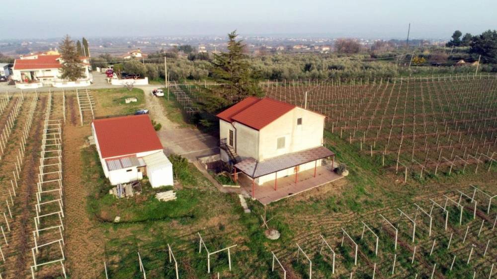 immagine annuncio 2 di 9
