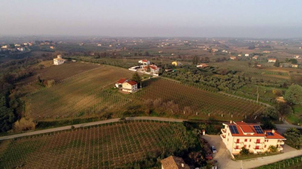 immagine annuncio 3 di 9