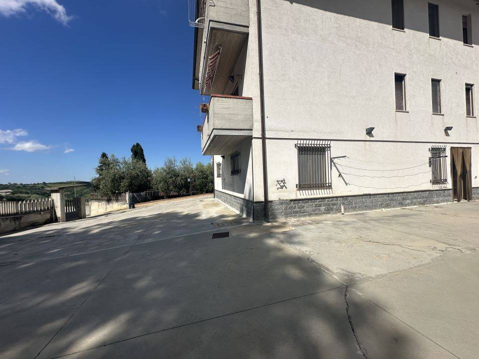 immagine annuncio 3 di 9