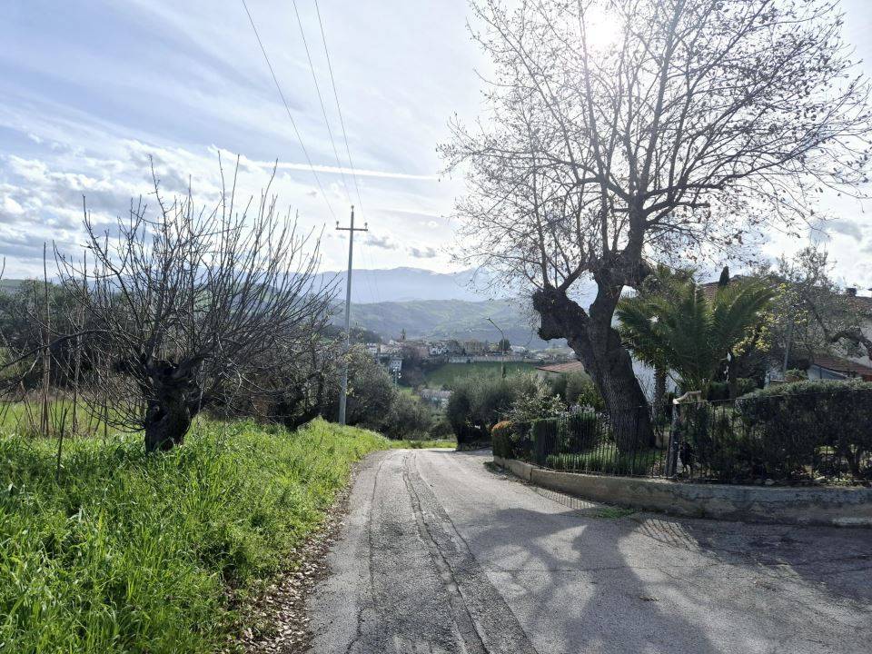 immagine annuncio 6 di 9