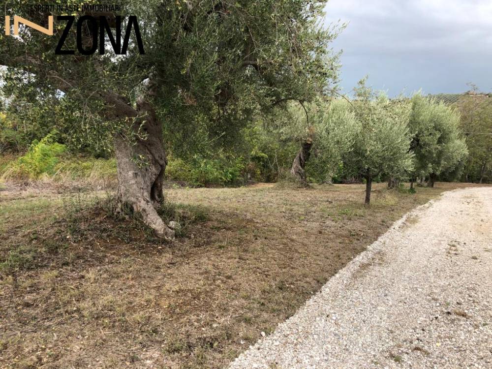 immagine annuncio 7 di 9