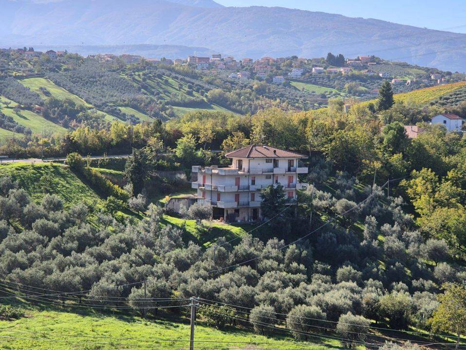 immagine annuncio 4 di 9