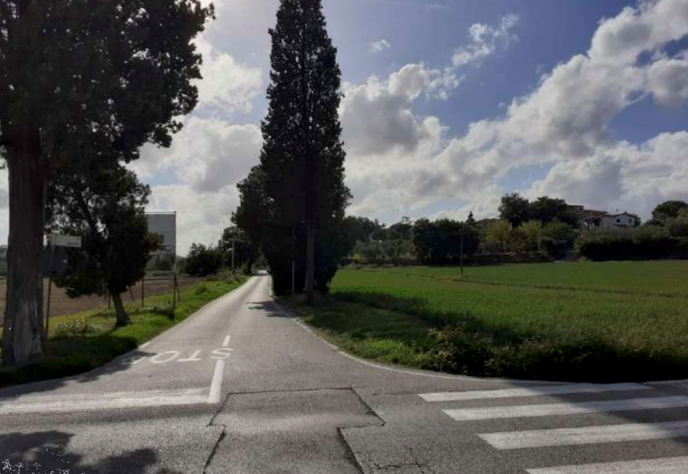 immagine annuncio 5 di 13