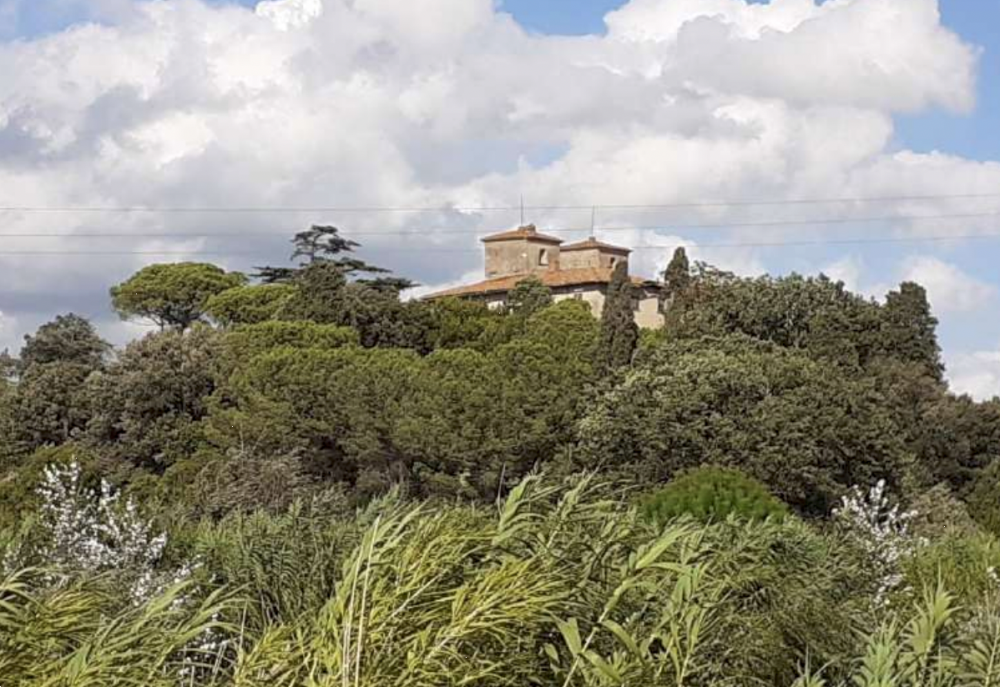 immagine annuncio 7 di 13