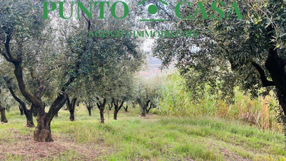 immagine annuncio 4 di 13