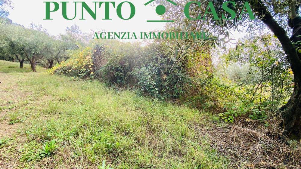 immagine annuncio 6 di 13