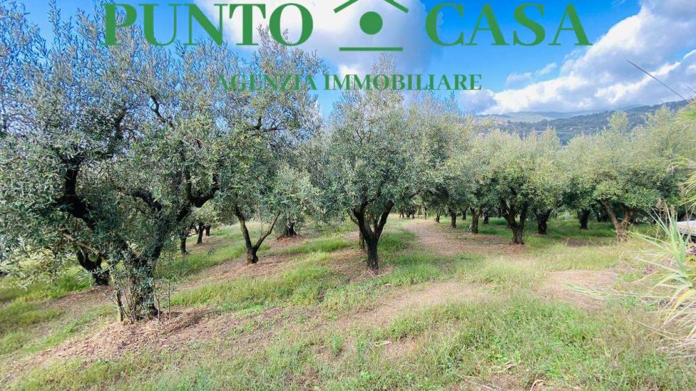 immagine annuncio 8 di 13