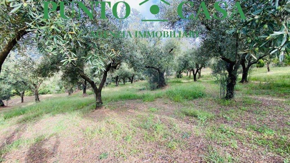 immagine annuncio 11 di 13