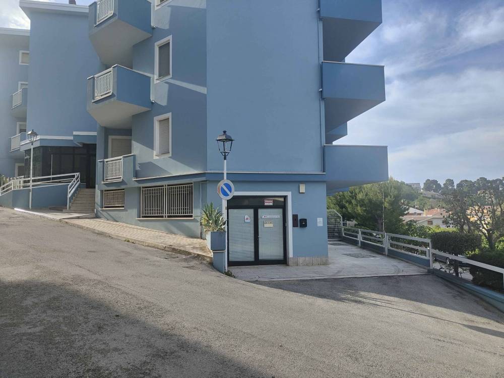 immagine annuncio 9 di 13