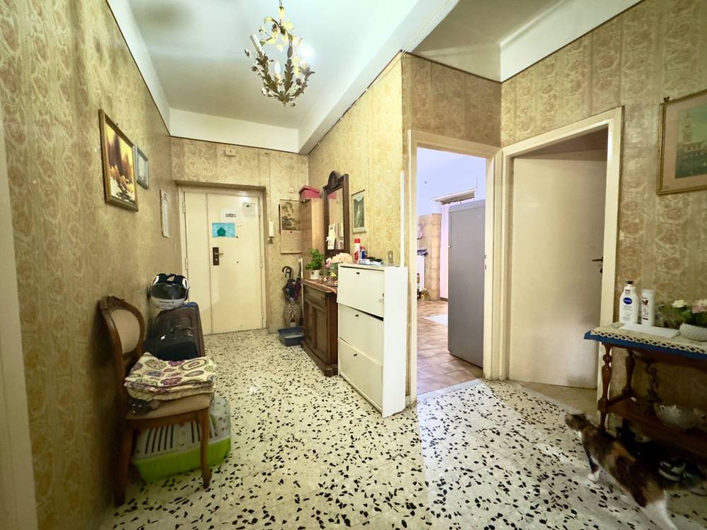 immagine annuncio 2 di 11