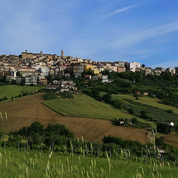 immagine annuncio 1 di 3