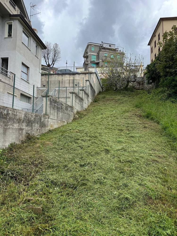 immagine annuncio 3 di 9