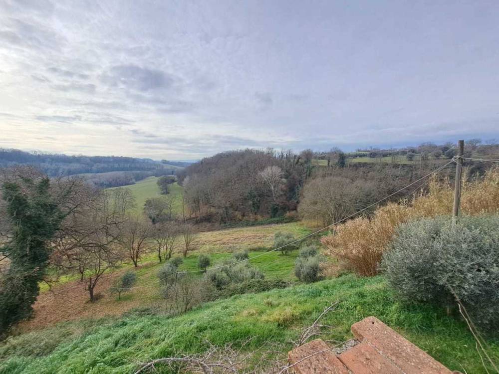 immagine annuncio 8 di 13