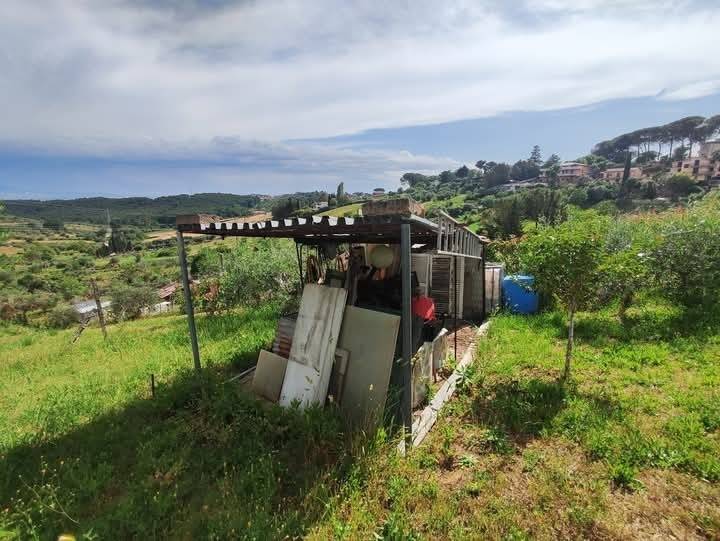 immagine annuncio 12 di 13
