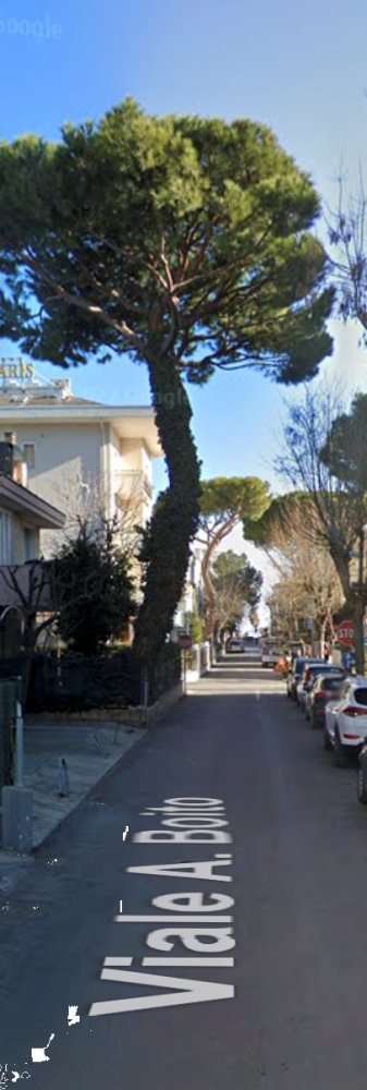 immagine annuncio 11 di 13