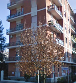 immagine annuncio 6 di 13