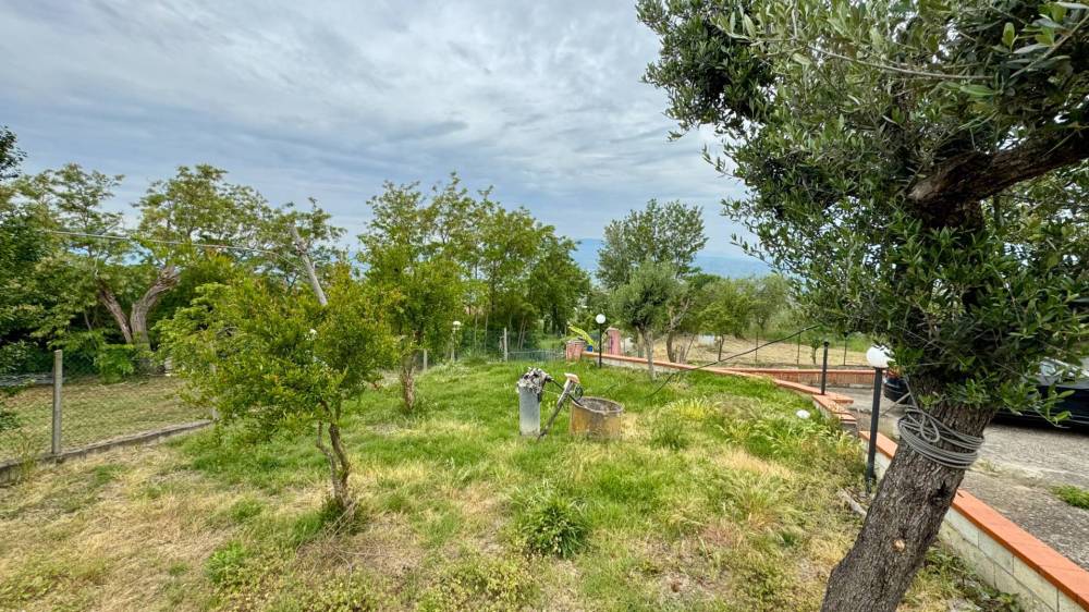 immagine annuncio 8 di 13