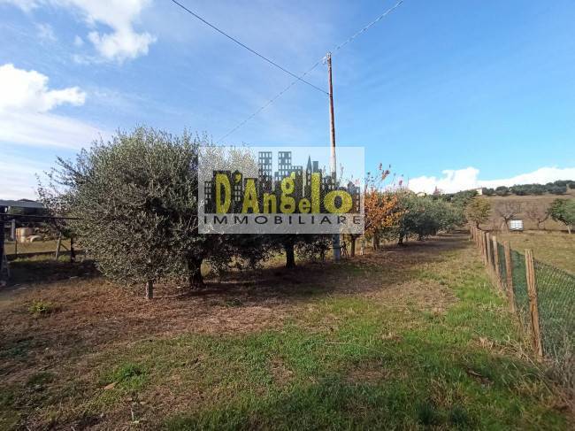 immagine annuncio 5 di 6