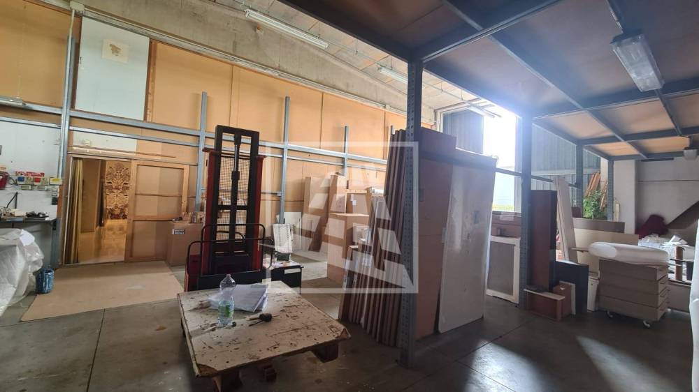 immagine annuncio 1 di 12