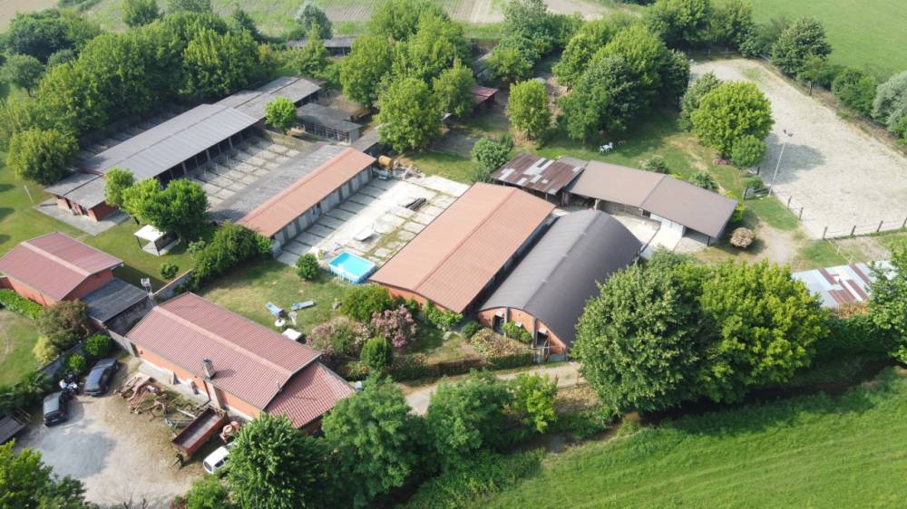 immagine annuncio 2 di 14
