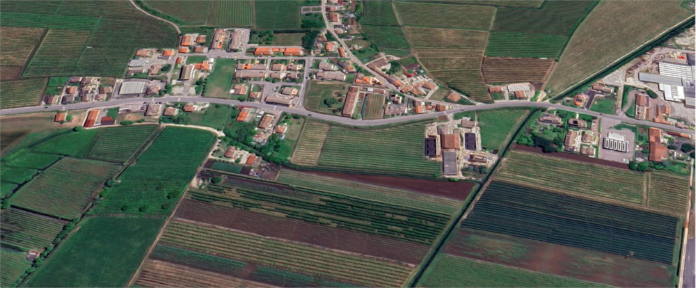 immagine annuncio 12 di 13