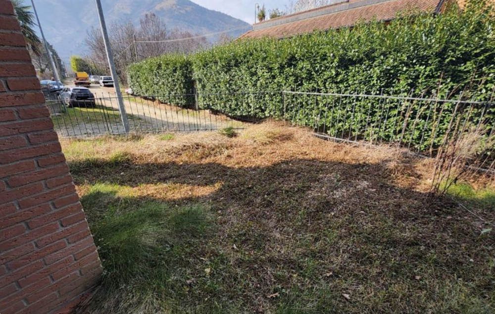 immagine annuncio 8 di 13