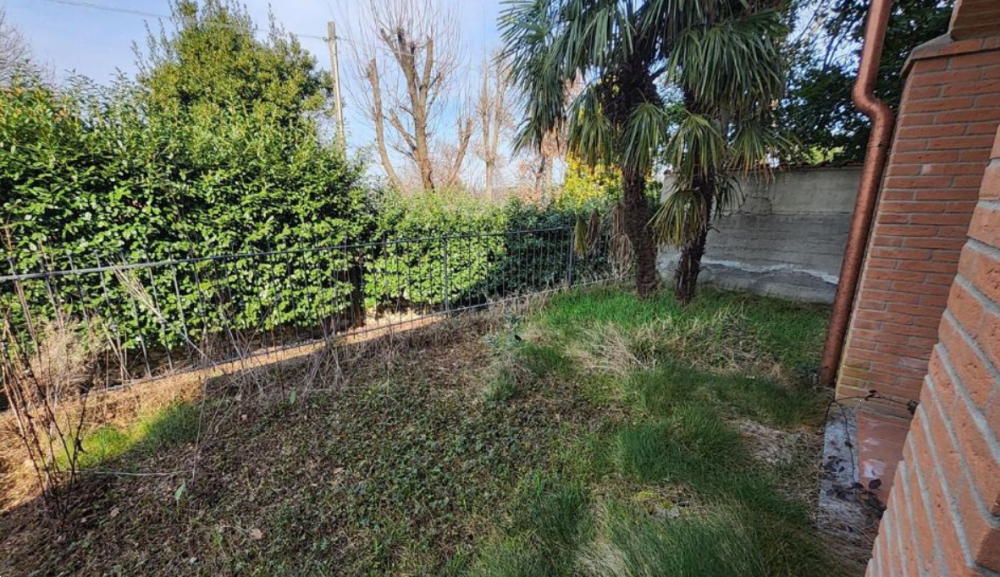 immagine annuncio 7 di 13