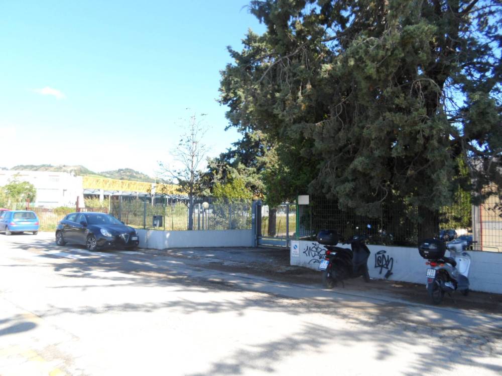 immagine annuncio 3 di 13