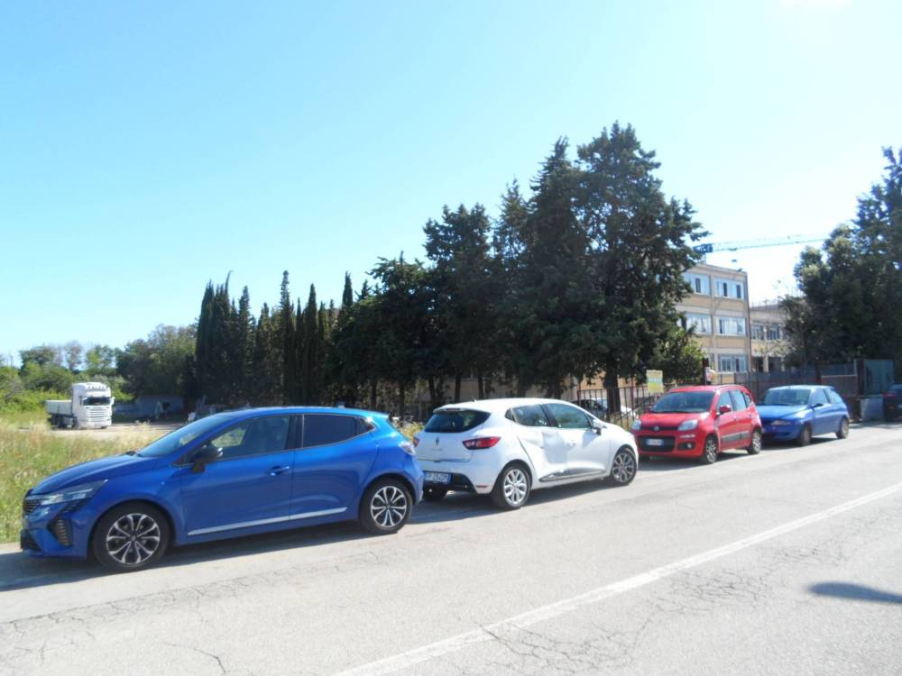 immagine annuncio 1 di 13
