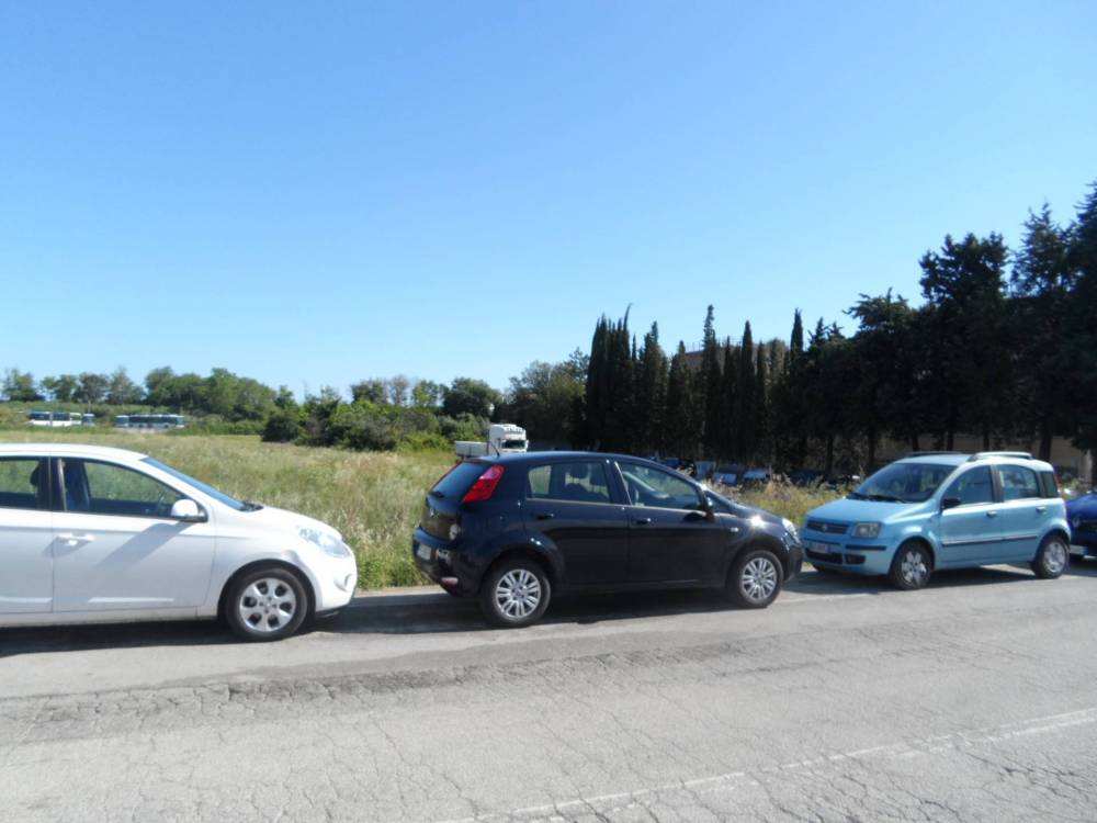 immagine annuncio 9 di 13