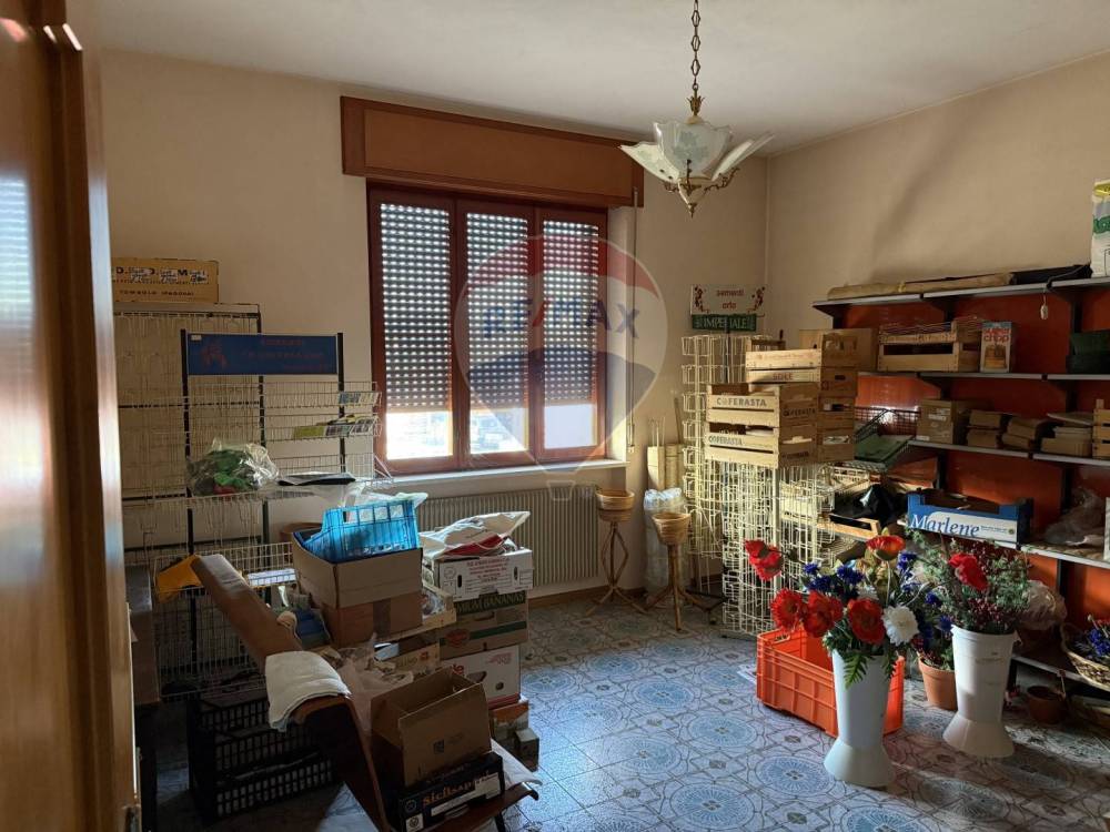 immagine annuncio 6 di 13