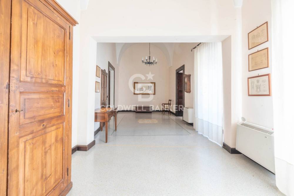 immagine annuncio 10 di 13