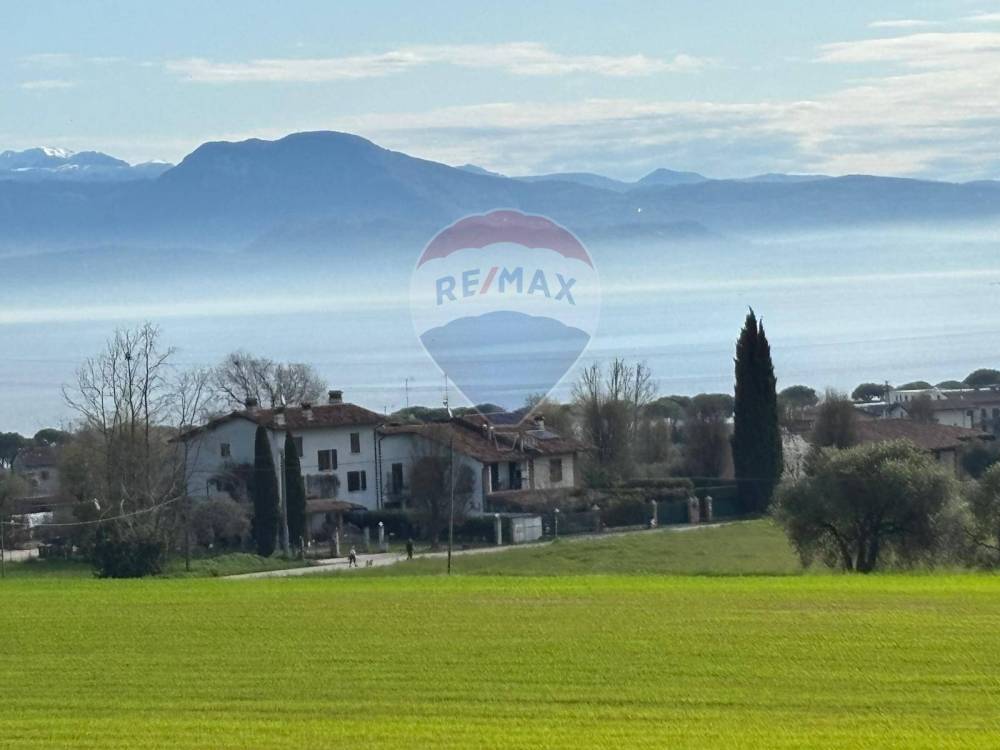 immagine annuncio 12 di 13