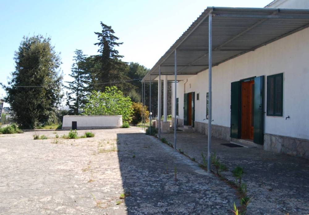 immagine annuncio 4 di 13